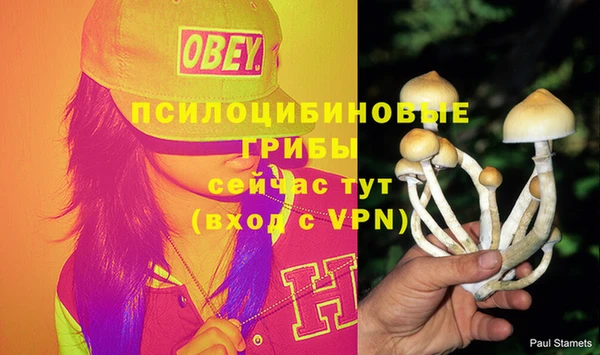 герыч Заволжск