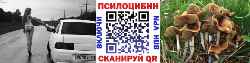 Галлюциногенные грибы прущие грибы  Купить где  Баксан 