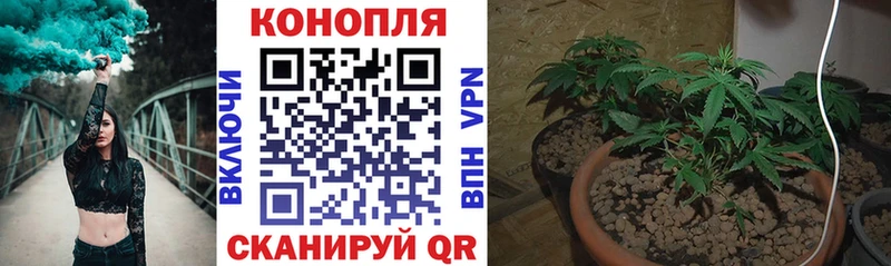 Купить закладки  Баксан  Канабис White Widow 